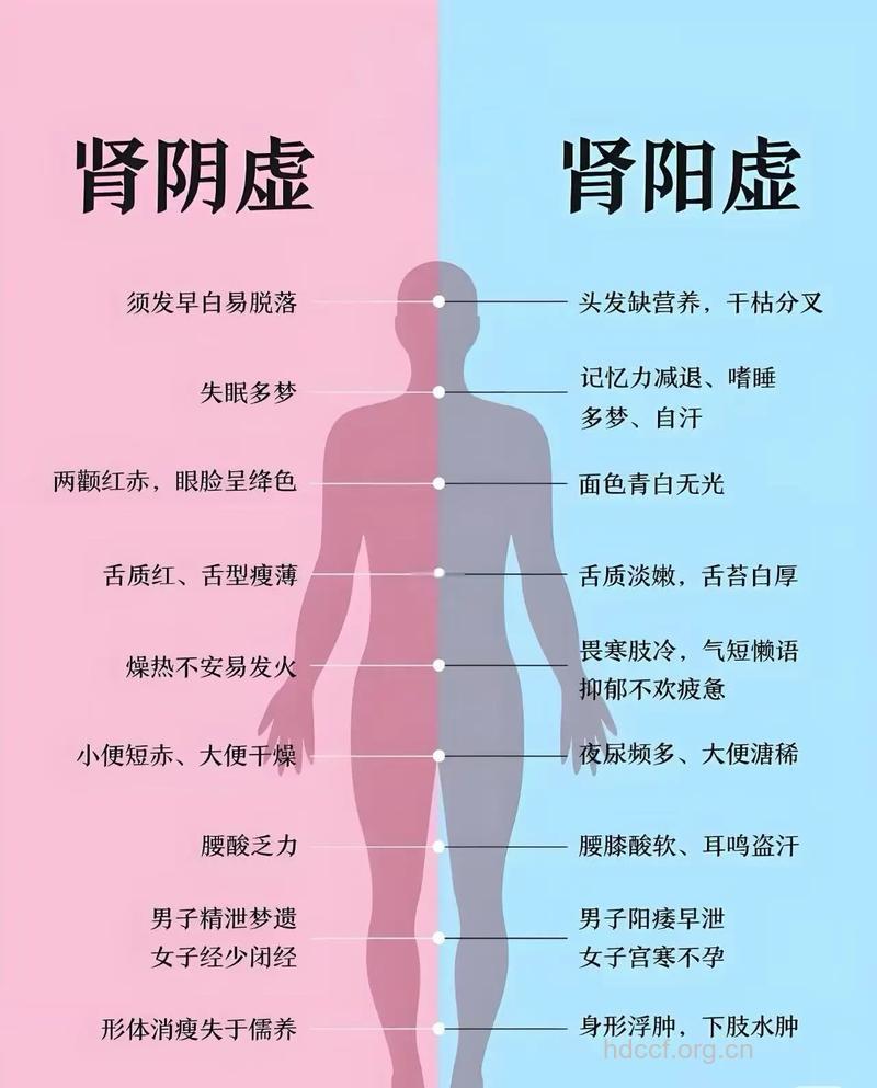 男人如何判断是否肾虚