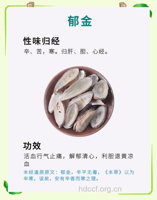 郁金的治病功效及食疗方