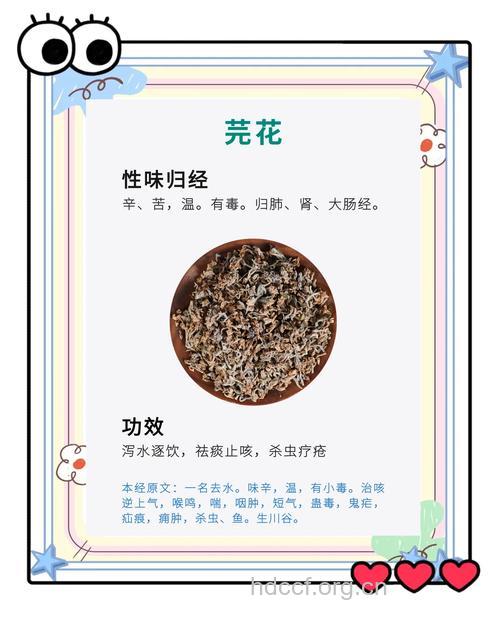 芫花的治病功效及食疗方