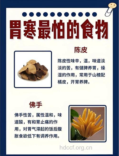 胃寒不可错过的6种食物