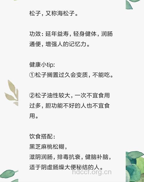 海松子的治病功效及食疗方