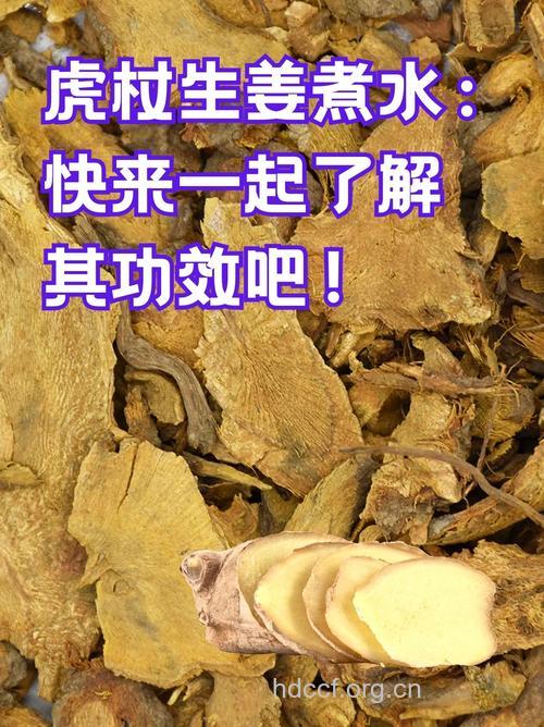 虎杖的治病功效及食疗方