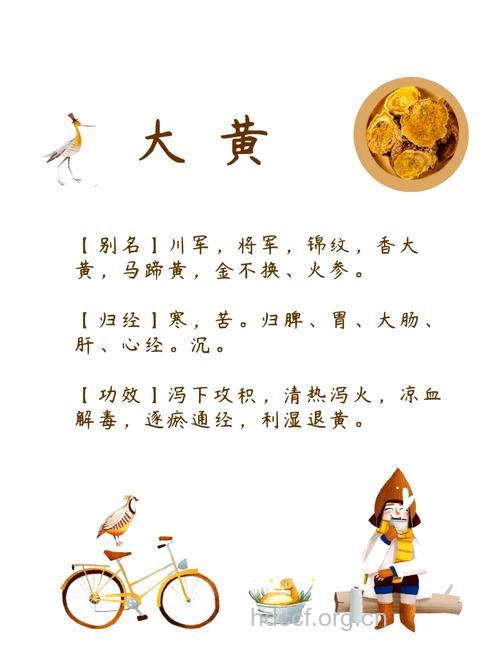 大黄的治病功效及食疗方