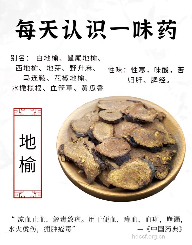 地榆的治病功效及食疗方