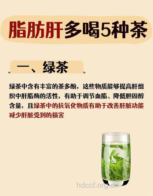适合脂肪肝患者的5种茶