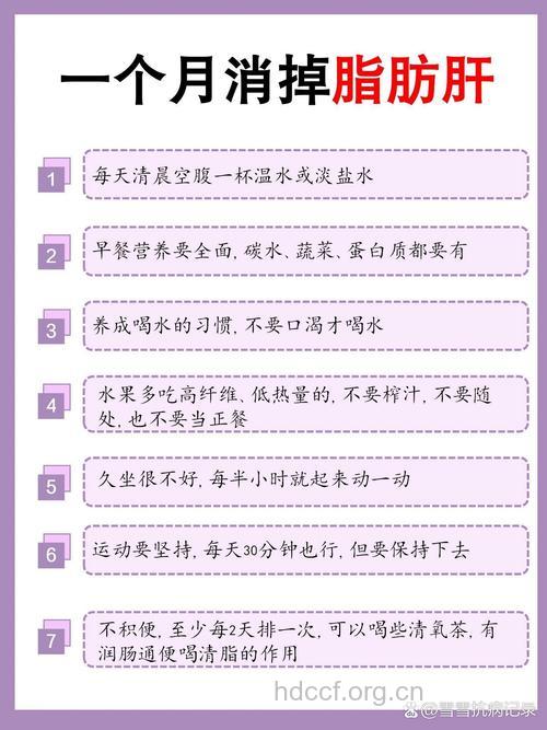 白领如何预防脂肪肝