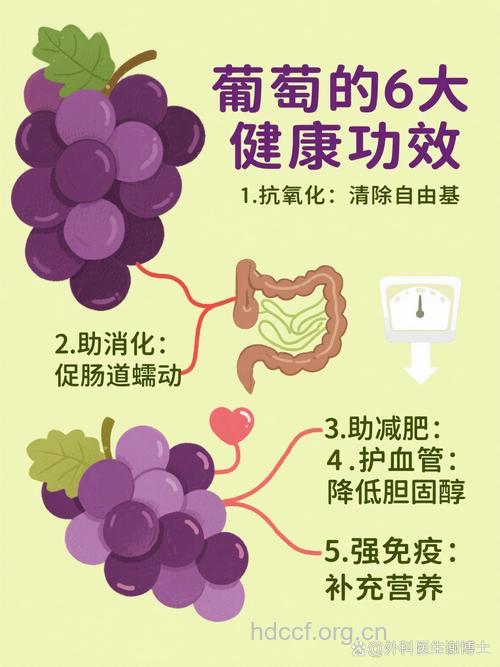 多吃葡萄可预防脂肪肝