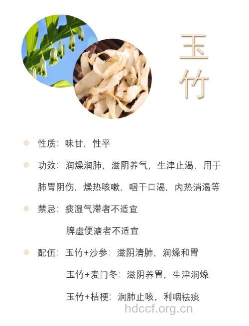 玉竹的治病功效及食疗方