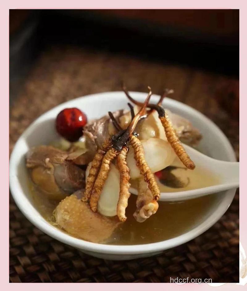 冬虫夏草最佳吃法 首选泡茶喝