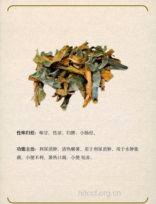 冬瓜皮能治疗脂肪肝吗