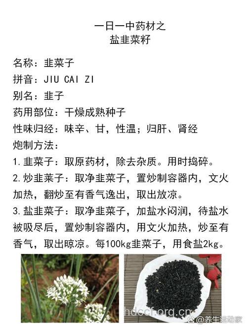 韭菜籽的治病功效及食疗方