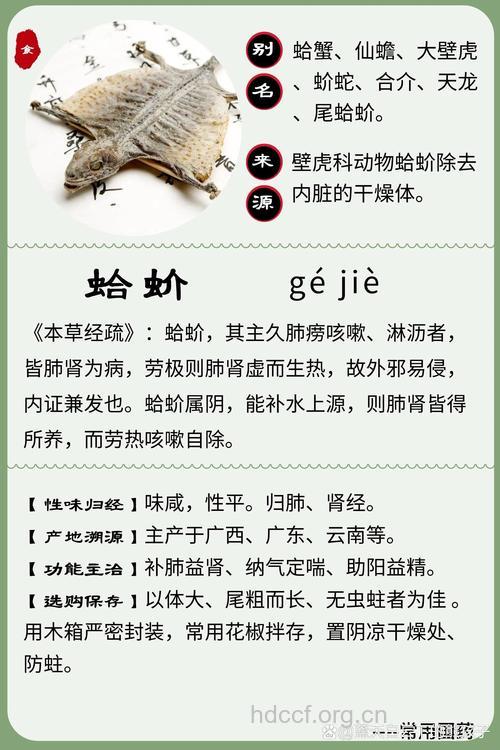 蛤蚧的治病功效及食疗方