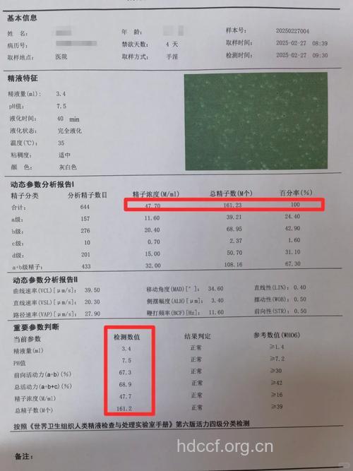 男子精子功能有什么检查