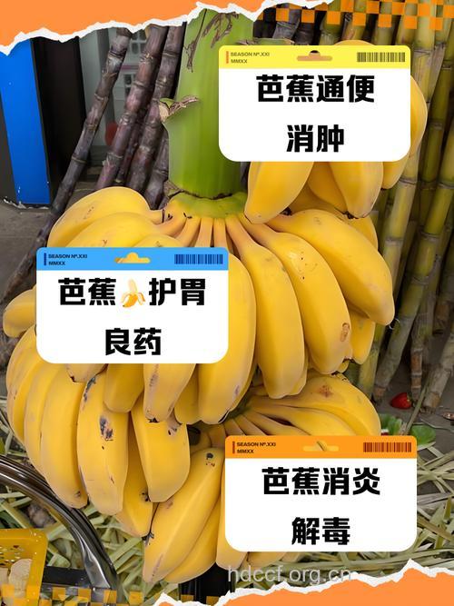 便秘的人能吃芭蕉吗 吃芭蕉可以通便吗