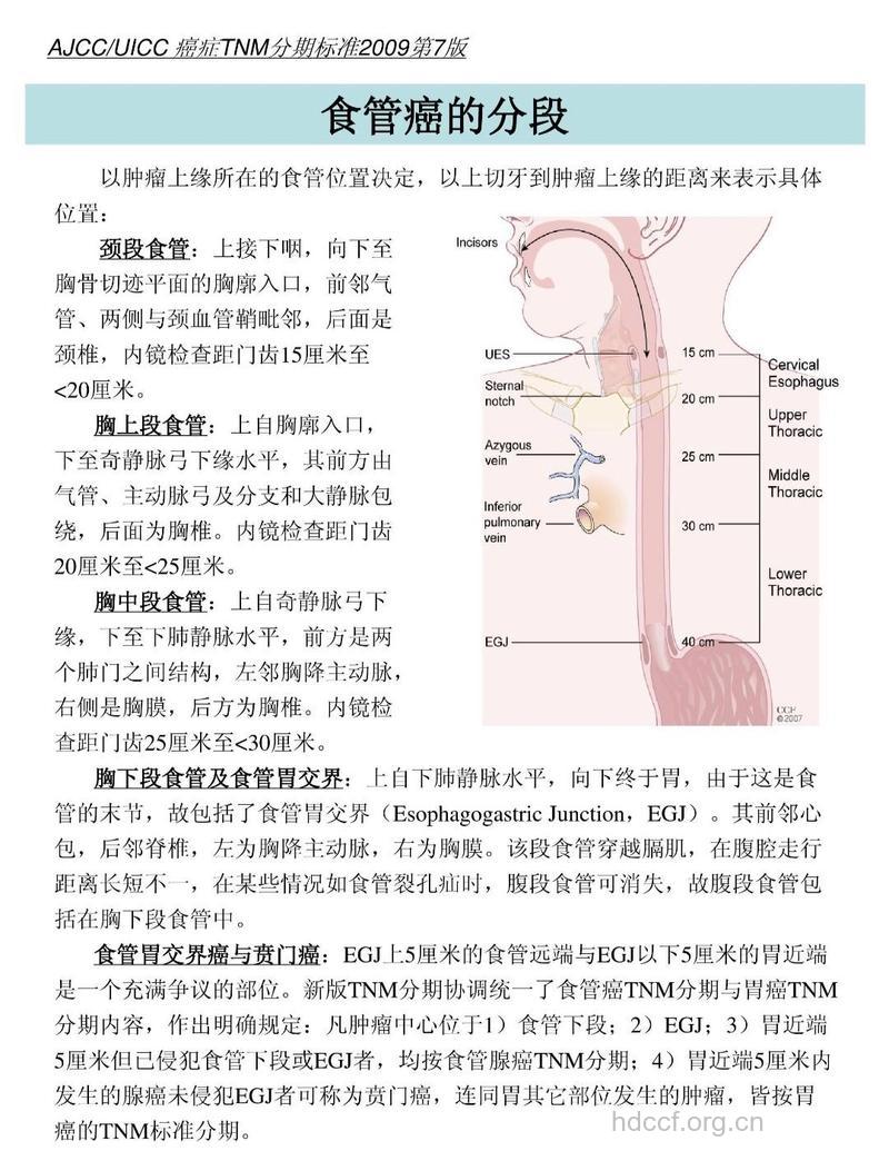 食道癌晚期还能活多久