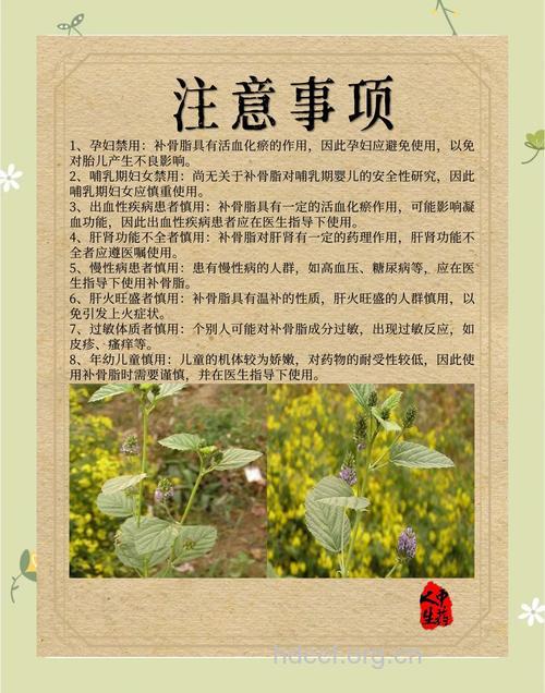 补骨脂的治病功效及食疗方