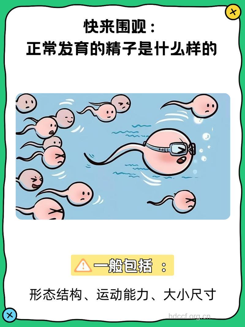 精子状态对男性的重要性