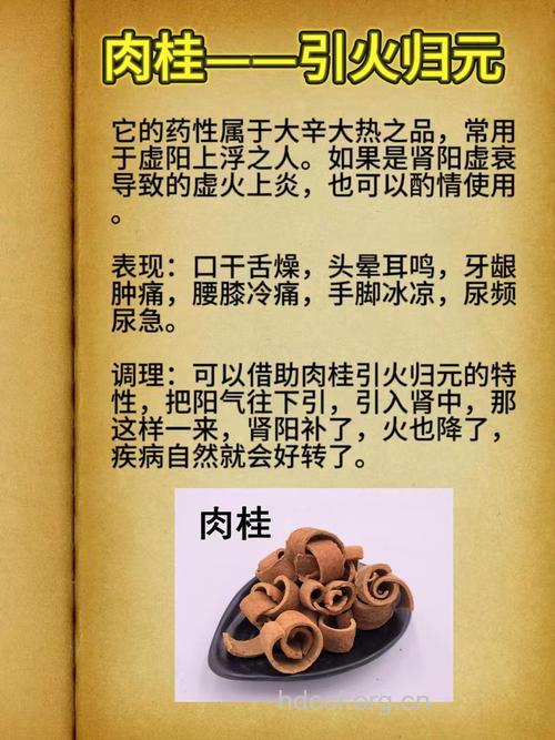 肉桂的治病功效与食疗方