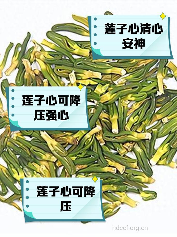 五种中药治疗冠心病有效果