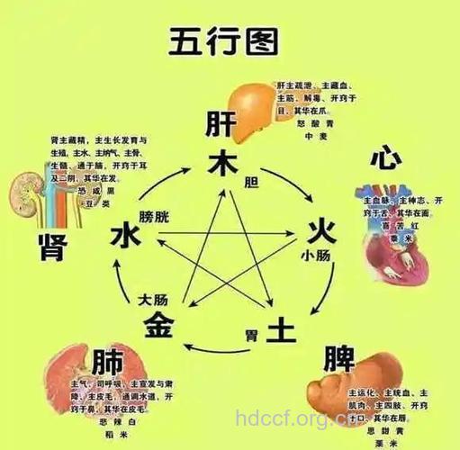 哪些疾病适合看中医 看中医前有七不宜