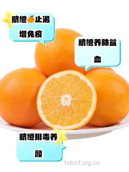 多吃橘子可以预防脂肪肝