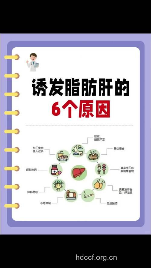 脂肪肝产生的因素