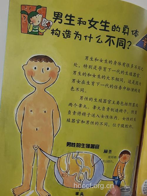 私密 读懂男人的小宝贝