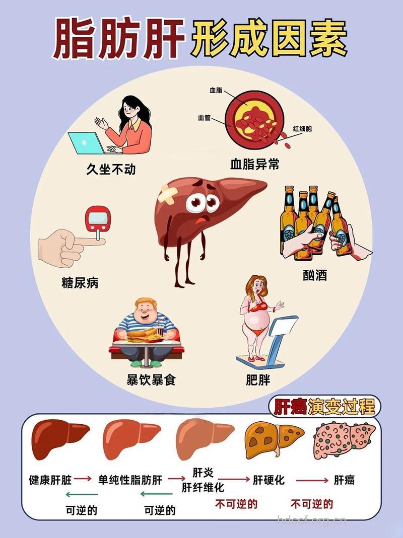 脂肪肝和冠心病有什么关系