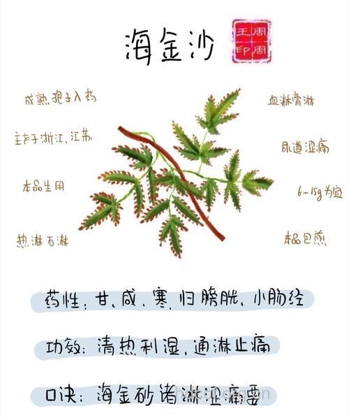 利尿解毒4款食疗偏方