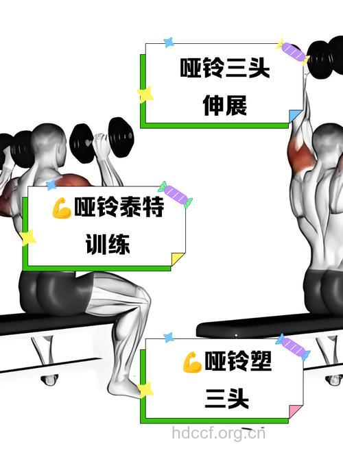 哑铃锻炼三头肌 两个动作很帮忙