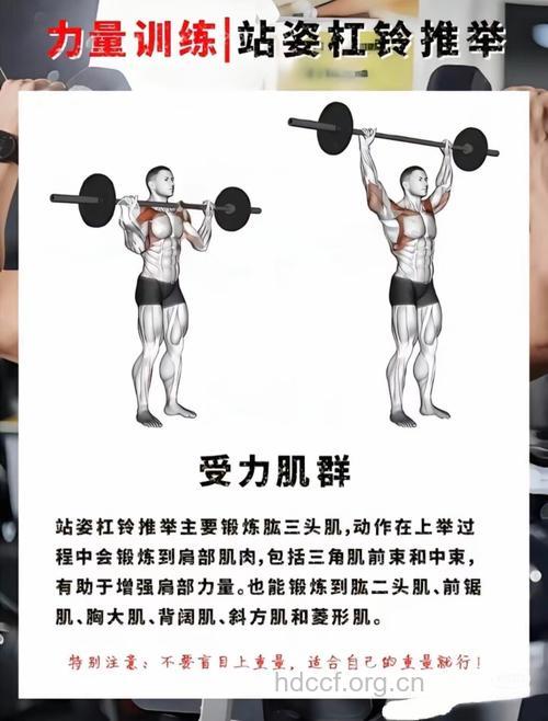 杠铃颈前推举这样做 赶紧收藏