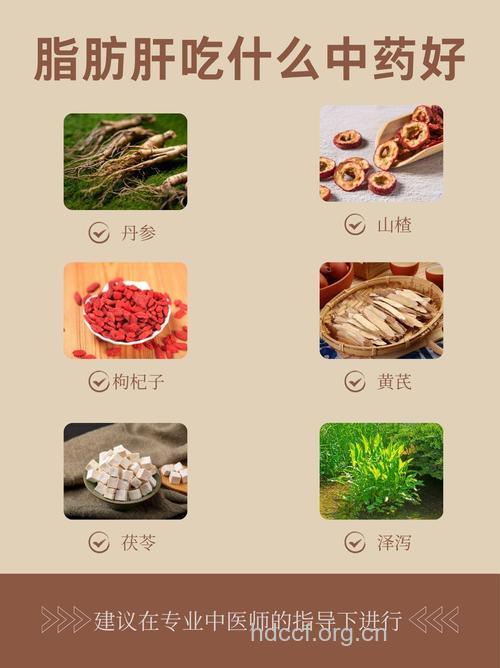 哪些中药可治疗中度脂肪肝