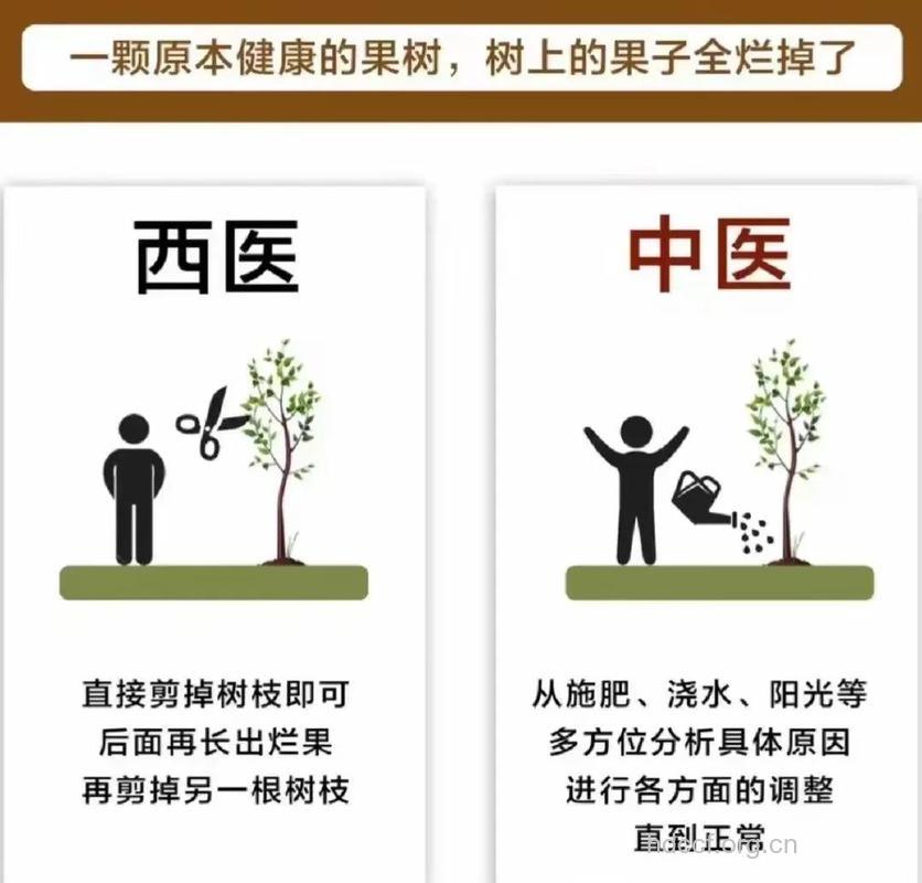 中医告诉你生病你选中医还是西医