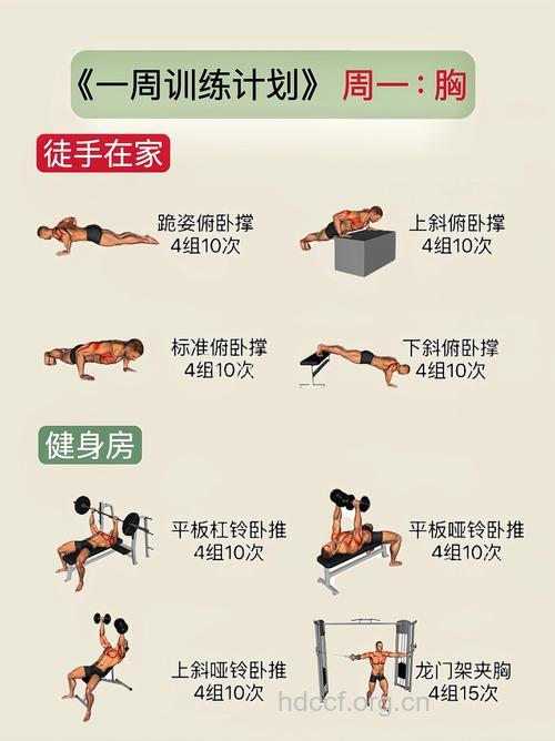 怎样锻炼体能 详解五种训练方法