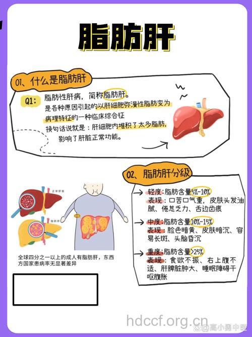 脂肪肝为什么会引发转氨酶升高