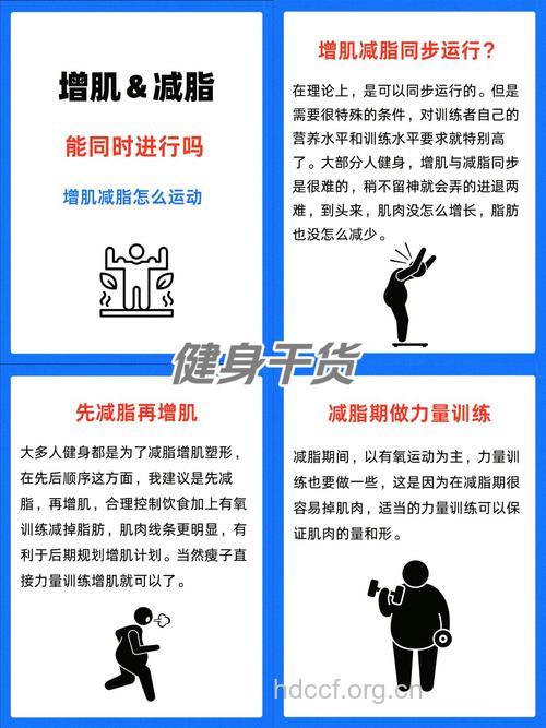 零基础增肌+减脂 请忽视这些想法