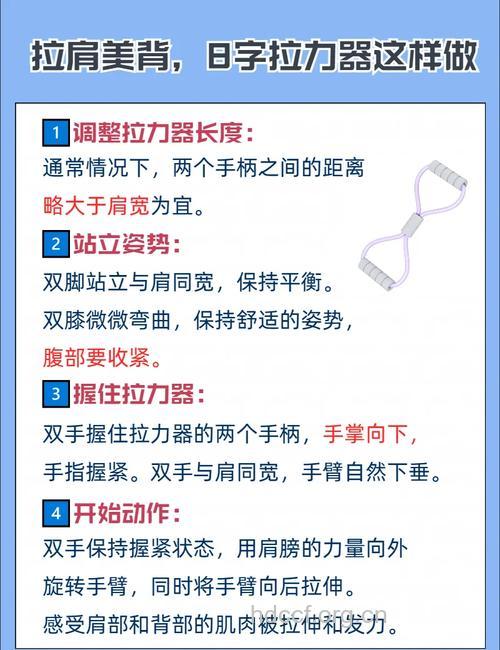 怎么使用拉力器 详解三种主要方法