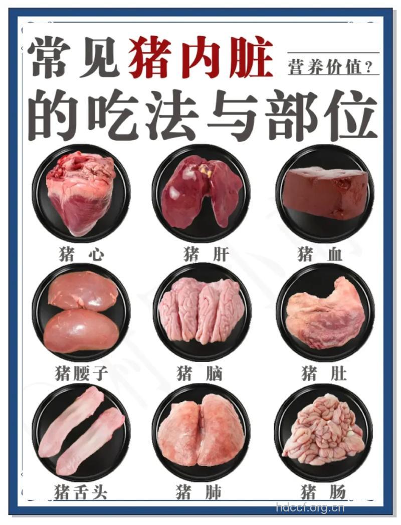 猪的各部位都有什么药用价值