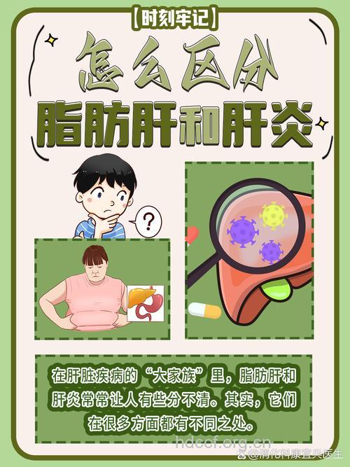 如何区别脂肪肝和脂肪性肝炎