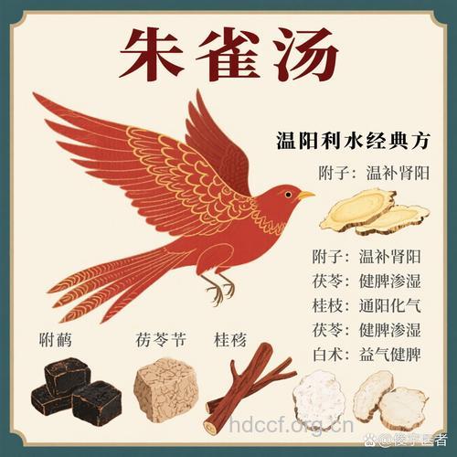 男性提高性能力的麻雀食疗方