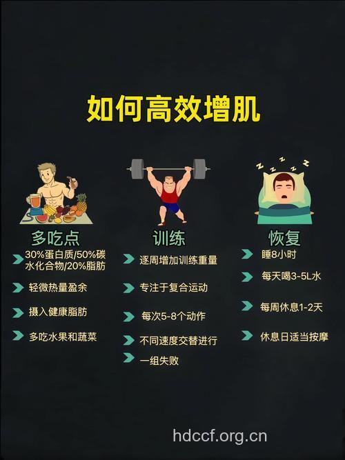 增加肌肉必须遵循这五原则