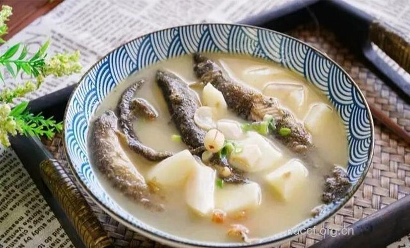 贫血养生食谱之泥鳅山药汤