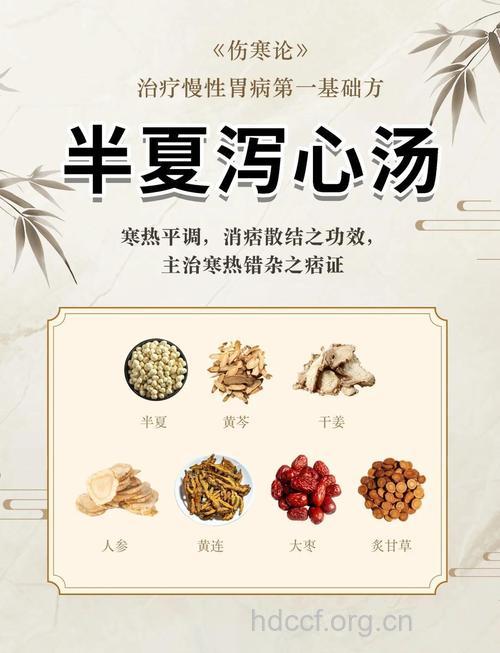 中医药膳：治疗脾胃不好拉肚子