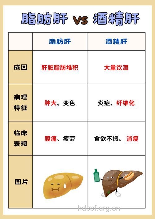 酒精性脂肪肝与非酒精性脂肪肝有什么不同