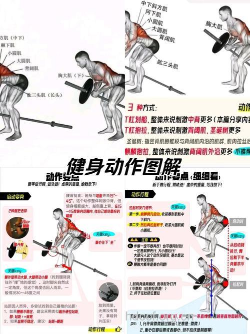 杠铃划船练哪 背部肌群逃不了