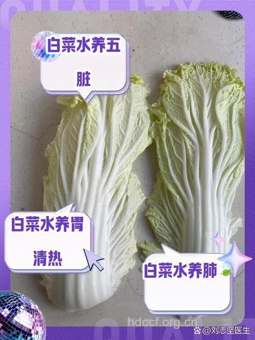 白菜帮子有防治脂肪肝功效