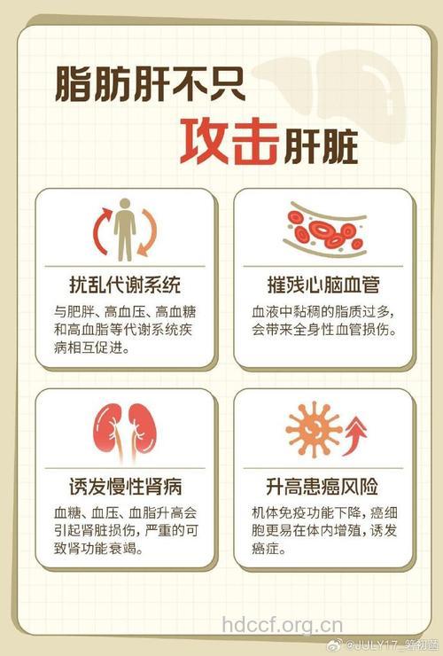 忽视脂肪肝易致肝功能异常