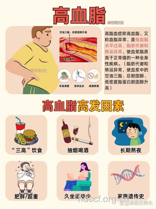 脂肪肝与高血脂症的联系