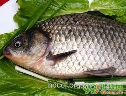 体力工作者养生食谱之红参蒸鲫鱼