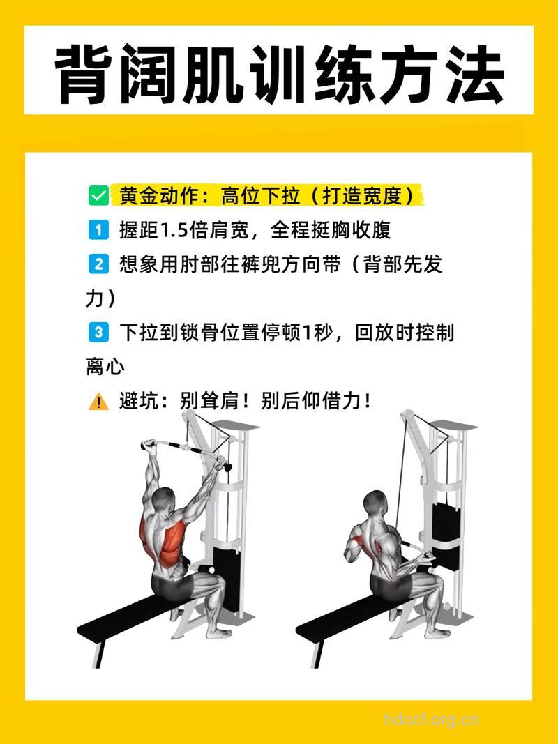 健身房练背阔肌吗 试试这四个动作